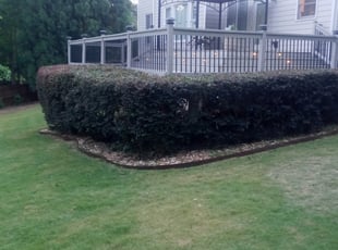 Bush Trimming by Korey McCoy for Brenda F. in Mableton, GA