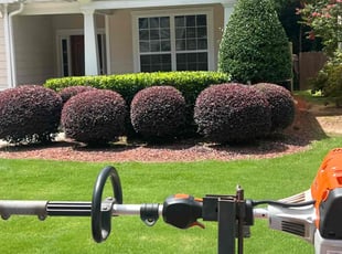 Esmie B.'s Lawn Mowing service result