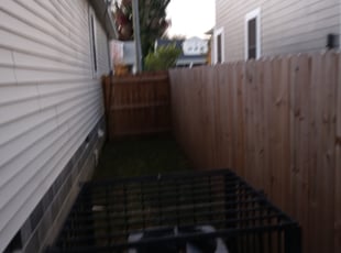 Sheila J.'s Cleanups service result