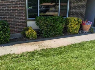 Cleanups by Trent Griffith for Autumn W. in Boise, ID