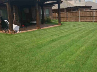 Cheyenne E.'s Yard Cutting service result
