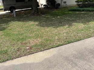 Leaf Removal by Martell McGee for Rainey L. in Orange Park, FL