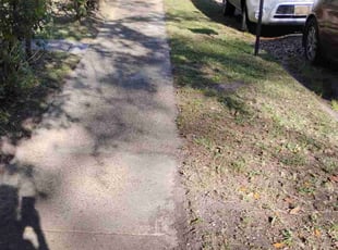 Leaf Removal by Cynthia Freeman for Charles K. in Mobile, AL