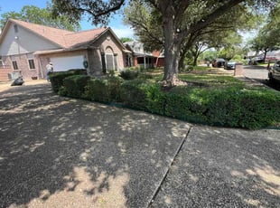 Bush Trimming by Angel Olivares for Gwendolyn L. in San Antonio, TX