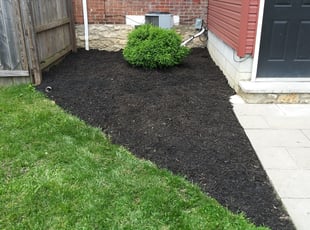 Mulching by Alexander Pellot Ayala for Amanda K. in Columbus, OH