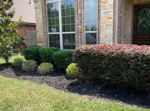 Bush Trimming by Adel Baker for Emeka H. in San Antonio, TX