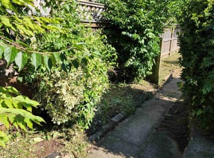 Weeding by Derrick Graves for Christi C. in Washington, DC
