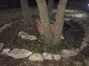 Leaf Removal by Raul Shimada for Brian D. in Austin, TX