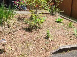 Weeding by Denise Santana for Ioannis I. in Cartersville, GA
