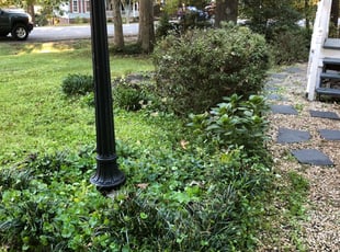 Cleanups by Ryan Cox for Matthew S. in Midlothian, VA