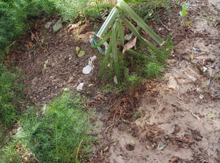 Weeding by Yohan Torres for Julie S. in Auburndale, FL