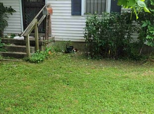 Bush Trimming by Gregory Childress for Patricia H. in Memphis, TN