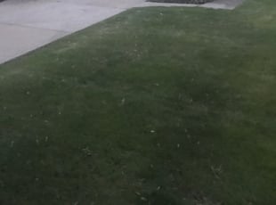 Cleanups by Ross Phina for Parker M. in Troy, MI