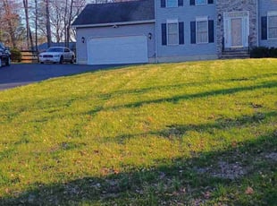 Leaf Removal by Martin Ortiz Cortez for Baye M. in Elkton, MD