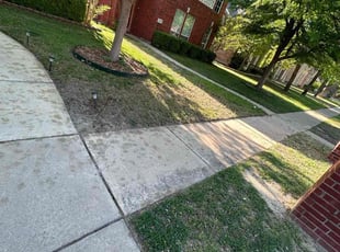 Cleanups by Patrick Stewart for Jeffrey H. in Frisco, TX