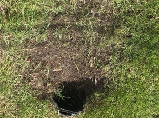 Cleanups by John Hellems for Nasrine B. in Troy, MI