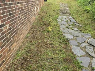Cleanups by David Ennis for Zackary M. in Taylors, SC
