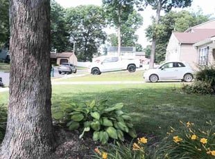 Leaf Removal by Michael Ellick for Jared T. in Washington Township, NJ