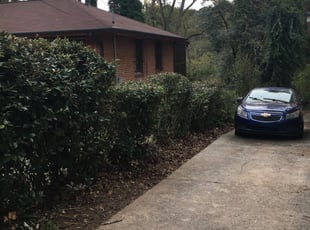 Bush Trimming by Reuben Brown for BRIAN B. in Atlanta, GA