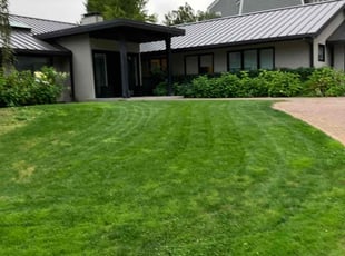 Elizabeth B.'s Lawn Maintenance service result