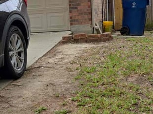 Leaf Removal by Roberto Pena for Jas H. in Spring, TX