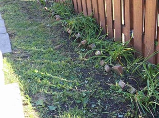 Ferris D.'s Flower Bed Weeding service result