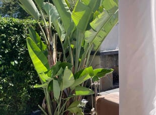 Cleanups by Hugo Lopez for Deborah F. in Temecula, CA