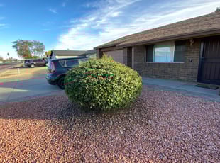 Bush Trimming by MarcusDesert no ok Burrell for Daniel R. in Peoria, AZ