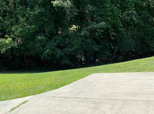 Anthony W H.'s Lawn Care service result