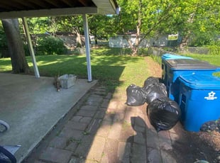 Wanda T.'s Cleanups service result