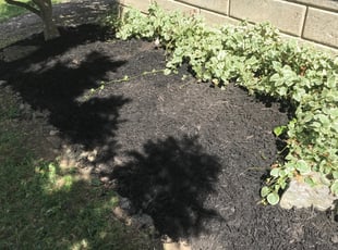 Mulching by Jt Sallee for Felicia D. in Cincinnati, OH