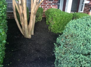 Weeding by Jeff Smith for Brandy M. in Owasso, OK