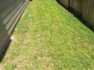 Cleanups by Andrea Dare for Bryce G. in Tomball, TX
