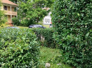 Rebecca -.'s Bush Trimming service result