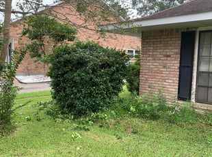 Bush Trimming by Johnnie Spears for Tiffany F. in Baton Rouge, LA