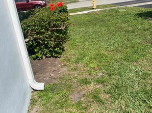 Bush Trimming by Herick Charite for Clarence S. in Lauderdale Lakes, FL