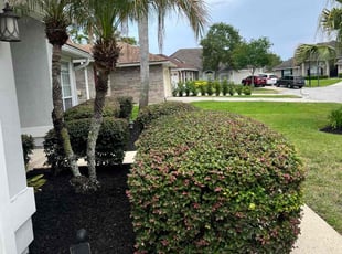 Mulching by Charleyne Brown for Lauren C. in Jacksonville, FL