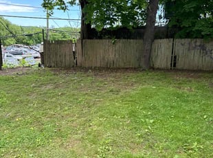 Cleanups by Andrew Roach for Carla T. in New Haven, CT