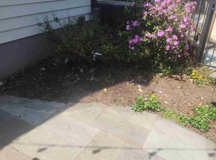 Cleanups by Brooke Ardoin for Zach C. in Elmhurst, IL