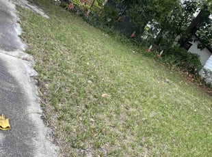Cleanups by Aderias Rollins for Harmony H. in Jacksonville, FL
