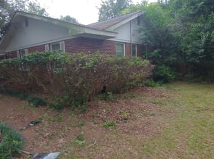 Bush Trimming by Andrew Stafford for Olivia A. in Charleston, SC