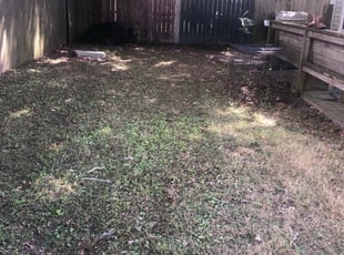 Leaf Removal by Valera Swearngin for Patrick F. in Virginia Beach, VA