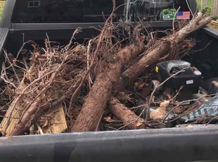 Cleanups by Christyanna Stuart for Tony D. in Langhorne, PA