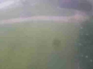 Cleanups by Antonio Sanchez for Jessica G. in Mesa, AZ