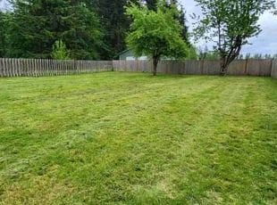 Loni M.'s Lawn Care service result