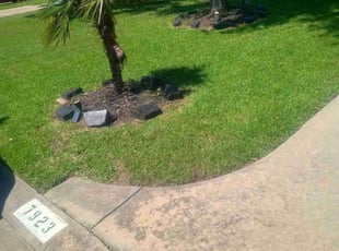 Aeration by Donovan Perry for Jack E. in Cypress, TX