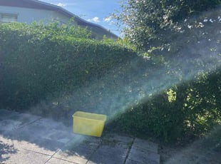 Bush Trimming by Charles Walton for Tammy A. in West Palm Beach, FL