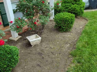 Weeding by Jose Gonzalez for Adrian R. in Capitol Heights, MD