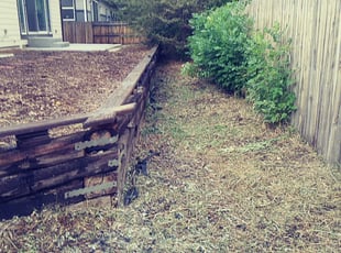 Weeding by Marsha Fosnight for Lavon K. in Denver, CO
