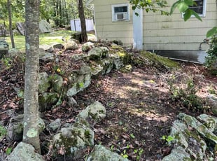 James M.'s Cleanups service result